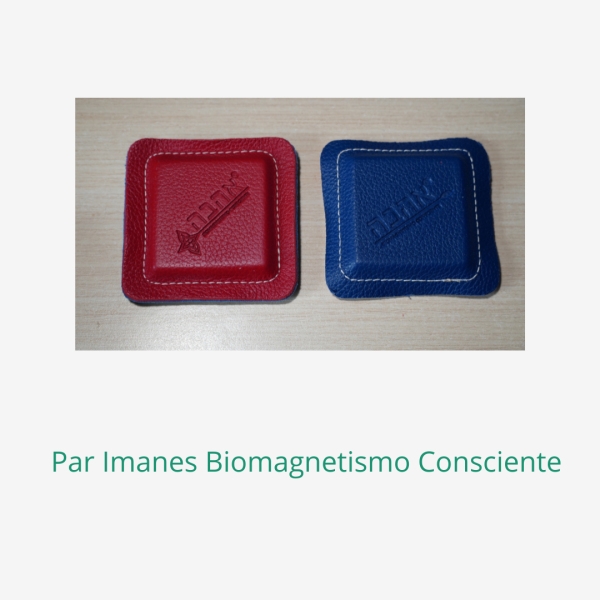 Pack 2 Imanes Biomagnetismo Consciente