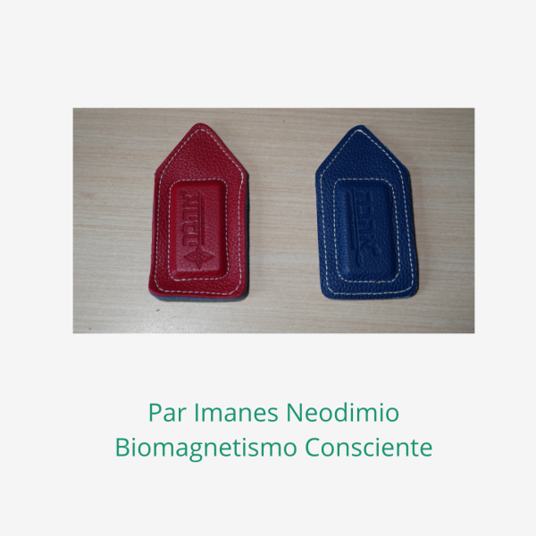 Pack 2 Imanes Neodimio modelo lágrima - Imagen 2
